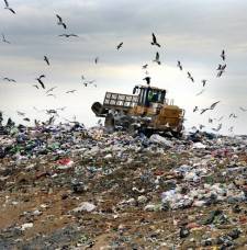 Email Marketing Stops Waste
